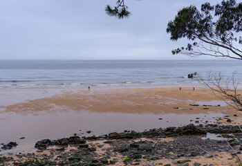 beach in the morning