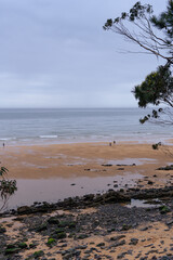 people walking on the beach in the morning