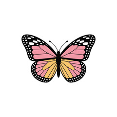 Pink and Orange Butterfly Illustration