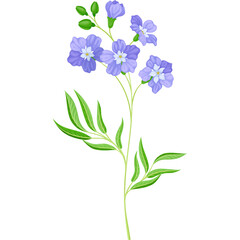 Delicate Stem of Purple Flax Flowers with Green Leaves Isolated on White Background