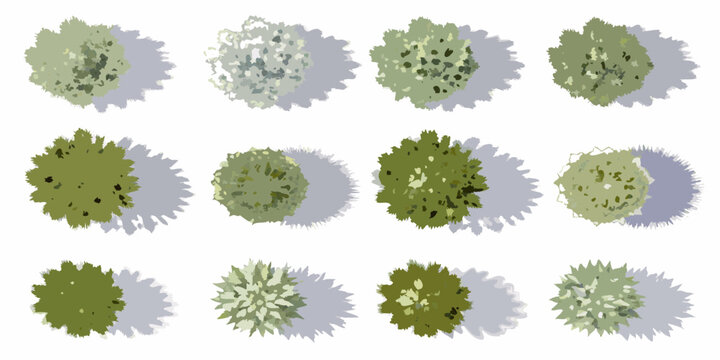 Collection of twelve stylized green trees viewed from directly above with soft shadows on a white background