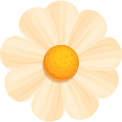 Delicate White Daisy Flower With Orange Center and Transparent Background Isolated Vector Illustration