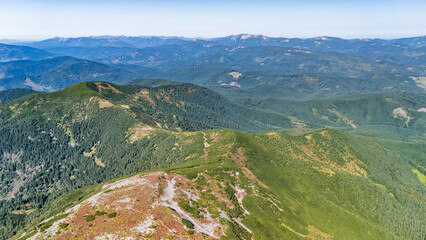 Fototapeta premium Aerial panorama of vast Carpathian mountain ranges covered with dense green forests and meadows, illuminated by bright summer sunlight under a clear blue sky