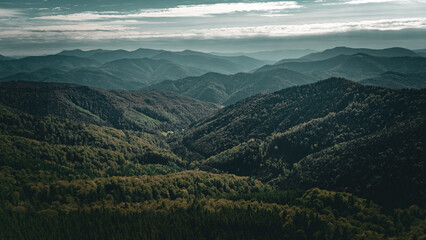 Aerial drone panorama of Carpathian forest valleys and mountain ranges under cloudy sky, capturing depth, texture, and natural harmony