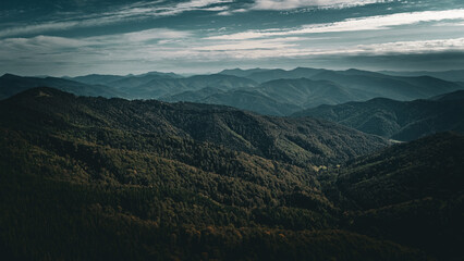Aerial drone view of Carpathian mountain ridges fading into the horizon, covered with dense pine forests under soft morning light and misty sky