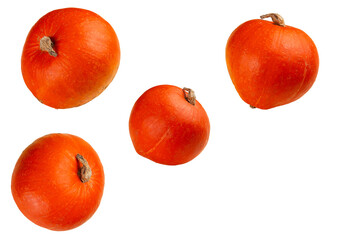 Ripe pumpkins. Transparent.