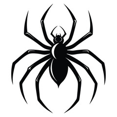 black spider isolated on white