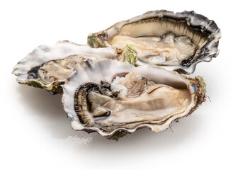 Opened raw oysters isolated on white background, clipping path. Delicacy food. © volff
