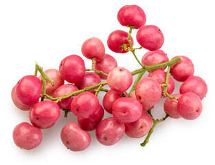 Fresh pink peppercorns on branch isolated on white background. File contains clipping paths.