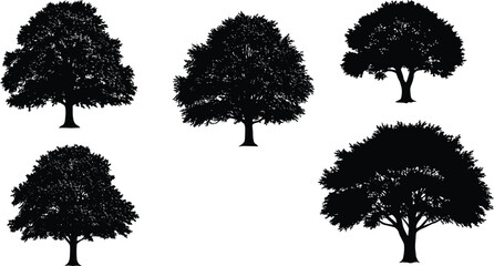 Tree silhouette collection, black forest shapes, botanical design, nature clipart, isolated trees, vector foliage, landscape elements, minimalist illustration, editable