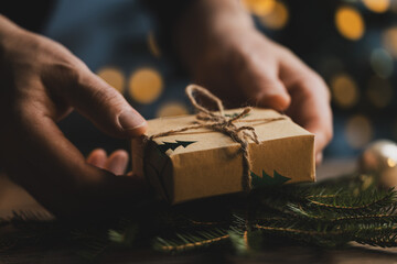 Eco friendly Christmas gift in hands