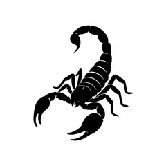 Scorpion Silhouette Black Scorpion Icon for Design and Symbolism