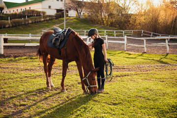 Young girl in equestrian gear enjoys a serene moment grazing a beautiful black horse in a green field, demonstrating the joy and connection between horse and rider.