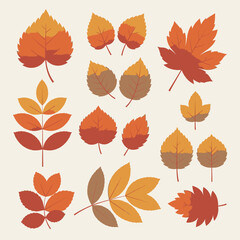 A collection of various stylized autumn leaves in warm shades of orange, red, and brown on a light background.