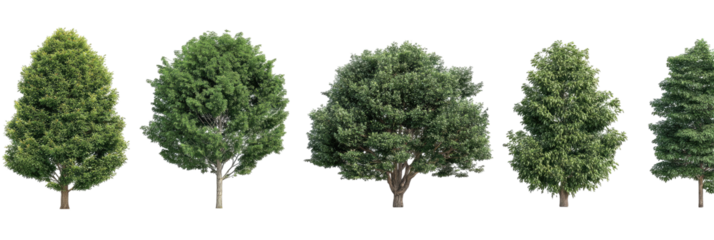 Five realistic digitally created tree models isolated on a black background, with green foliage