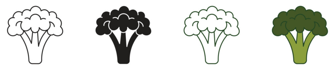 Broccoli icon set. Nature vegetable organic food nutrition, vector illustration .