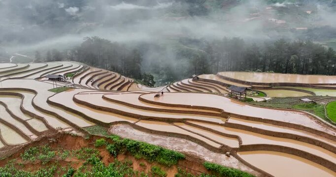Hmong farmers prepare their fields and plant rice on terraced fields in Mu Cang Chai, Yen Bai. Photo taken in Yen Bai on June 22, 2025.