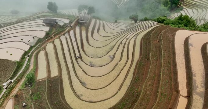 Hmong farmers prepare their fields and plant rice on terraced fields in Mu Cang Chai, Yen Bai. Photo taken in Yen Bai on June 22, 2025.	
