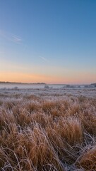 Obraz premium A serene landscape bathed in the soft glow of dawn or dusk showcases the beauty of a frosted meadow beneath a clear, vibrant sky. 
