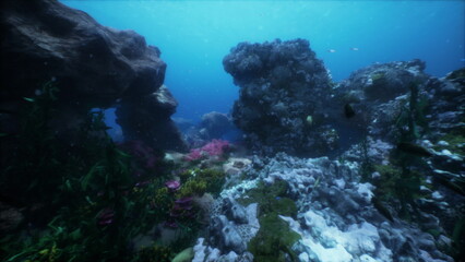 Explore a stunning underwater landscape filled with vibrant coral and diverse marine life. The clear blue water creates a serene atmosphere, inviting discovery of hidden treasures.