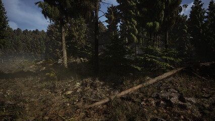 Early morning light filters through a dense forest filled with tall, green trees and scattered sunlight. A fallen log lies on the ground amidst rich earth and foliage, creating a serene scene.