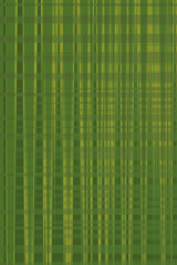 Green abstract design: A captivating abstract design, featuring a vibrant blend of green, invites the viewer to explore its intricate patterns and textures.