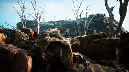 The scene captures a rugged landscape featuring sharp rocks and twisted branches of bare trees against a bright blue sky. Natures beauty is both stark and mesmerizing.