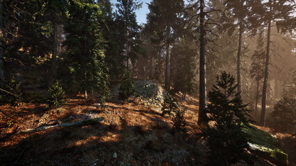 Golden light pours through tall pine trees in a lush forest setting during the late afternoon. Soft shadows stretch across the forest floor, creating a tranquil atmosphere as nature awakens.