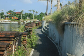 beautiful ornamental grass plants as garden decorations planted in city parks