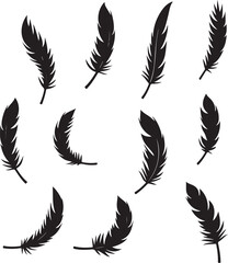 Black feather silhouettes on white background quill