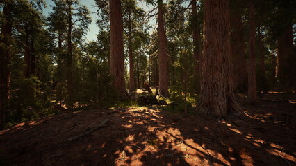 Sunlight filters through the canopy of an ancient forest, casting gentle shadows on soft earth. Majestic trees stand tall, creating a serene atmosphere rich with natures beauty.