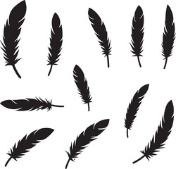 Black feather silhouettes on white background quill