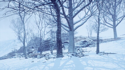 Obraz premium A peaceful winter scene showcases tall, bare trees surrounded by a thick blanket of snow. Delicate snowflakes fall softly, creating a tranquil atmosphere in a remote location.