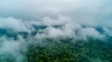 Fototapeta premium Aerial drone view of a misty forest. Low clouds and fog over a green jungle canopy. Moody nature landscape background