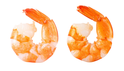 Two shrimp or prawn variations placed next to each other in one frame, one raw with translucent texture