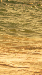 Ocean Waves Sunset: Golden hour light on sea water, gentle waves and foam near shore creating peaceful scene.