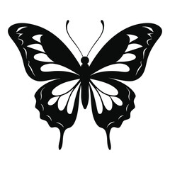 Abstract Butterfly Silhouette on White Background