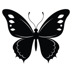 Abstract Butterfly Silhouette on White Background
