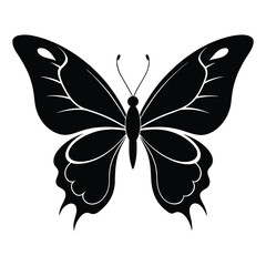 Abstract Butterfly Silhouette on White Background