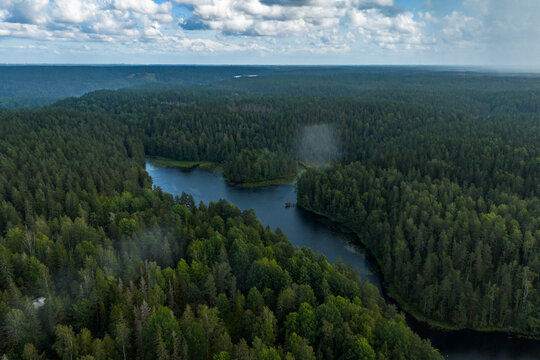 Aerial view of a serene river winding through a dense forest canopy, the sunlight casting dappled shadows across the water's surface, Espoo, Uusimaa, Finland.