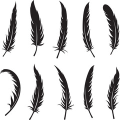 Ten Black Feather Silhouettes on White Background quill