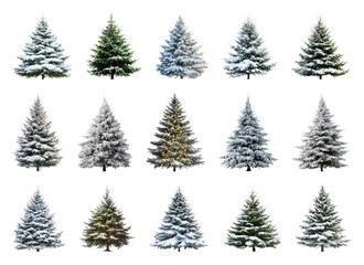 PNG Diverse snowy evergreen tree collection, element set on transparent background