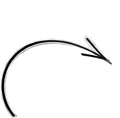 abstract eagle bird vector illustration on white background