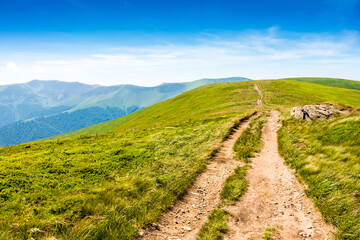 carpathian mountain landscape with hiking trail in summer. path leading uphill through borzhava...