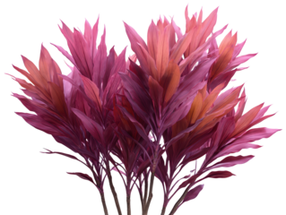 Vibrant Colorful Leaf Cluster with Textured Veins