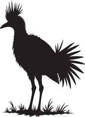 Fototapeta premium Black silhouette of a crested bird standing in grass