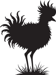 Obraz premium Black silhouette of a rooster standing in grass chicken