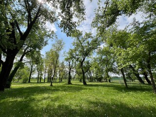 Obraz premium Park-forest by Zagreb's Jarun Lake or the park around Lake Jarun (Zagreb, Croatia) - Park-šuma uz zagrebačko Jarunsko jezero ili perivoj oko jezera Jarun (Zagreb, Hrvatska)