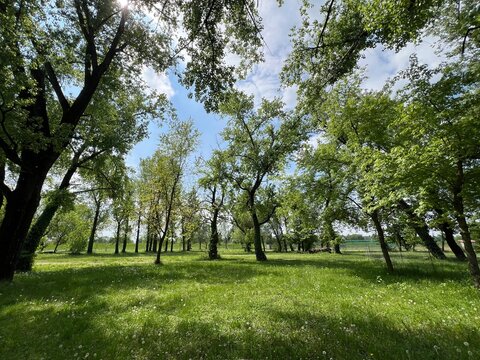 Park-forest by Zagreb's Jarun Lake or the park around Lake Jarun (Zagreb, Croatia) - Park-&scaron;uma uz zagrebačko Jarunsko jezero ili perivoj oko jezera Jarun (Zagreb, Hrvatska)