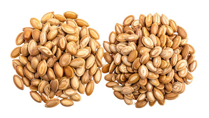 Fototapeta premium Muskmelon Fruit Seeds Collection, Two Variations, isolated on transparent background